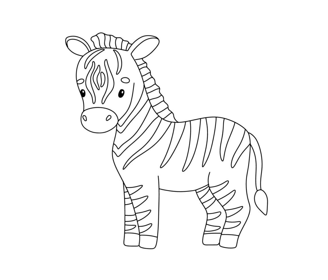 süß Zebra im Linie Stil. Zeichnung afrikanisch Baby wild Tier isoliert auf Weiß Hintergrund. Vektor Süss Gliederung Illustration zum kindisch Färbung Buch.