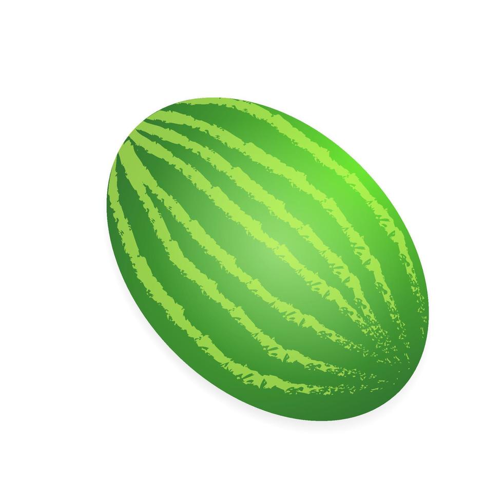 Wassermelone isoliert auf Weiß Hintergrund. Vektor Illustration