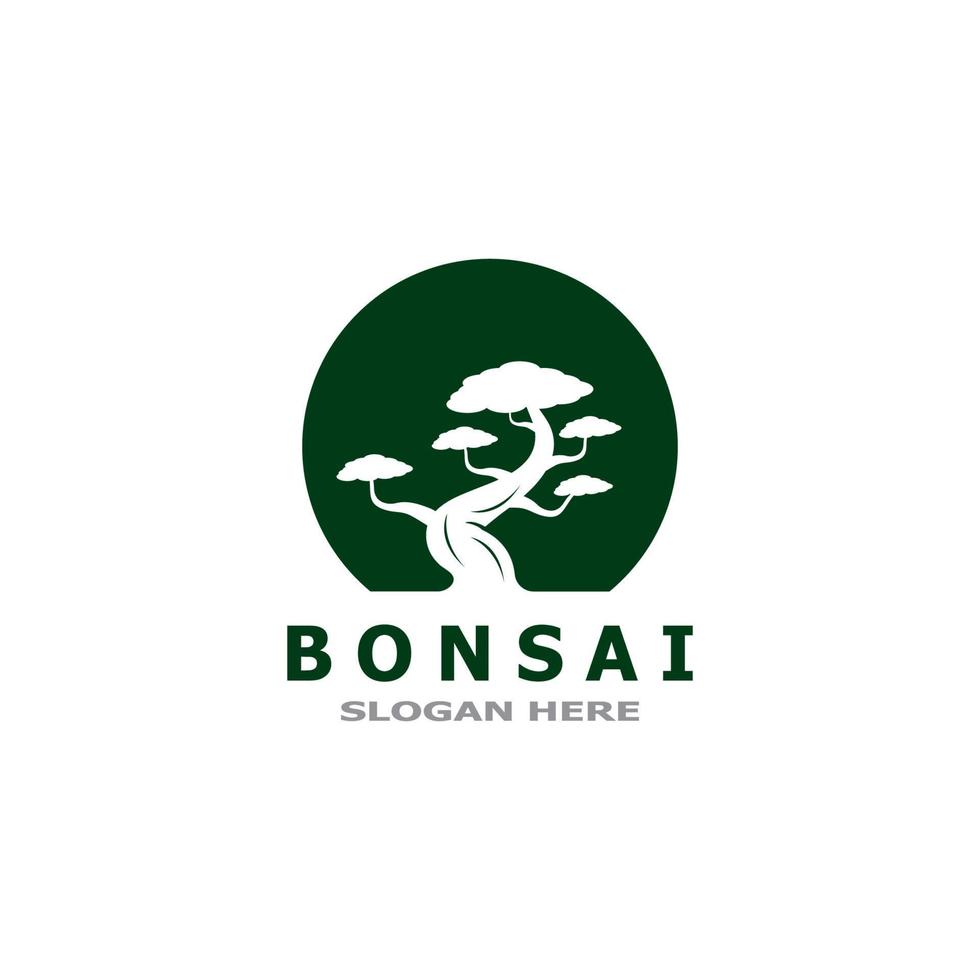 bonsai träd växt vektor logotyp illustration