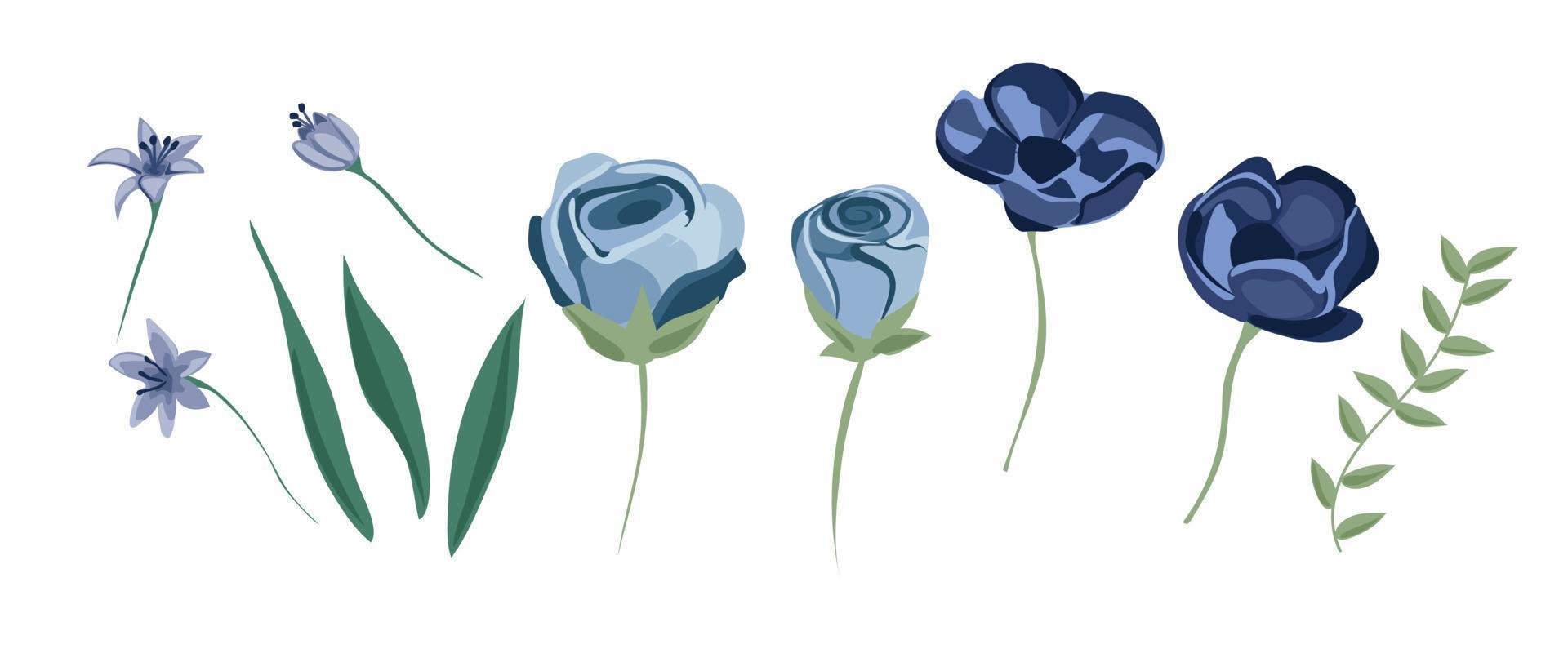 dammig blå, blek lila reste sig, vit hortensia, ranunkel, iris, echeveria saftig, blommor, grönska och eukalyptus, bär, enbär stor vektor set.trendig pastell Färg samling.