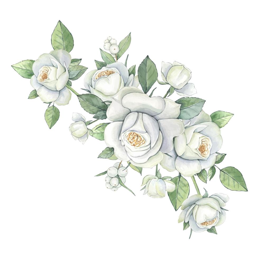 vattenfärg bukett av vit rosor, blommig illustration isolerat vektor