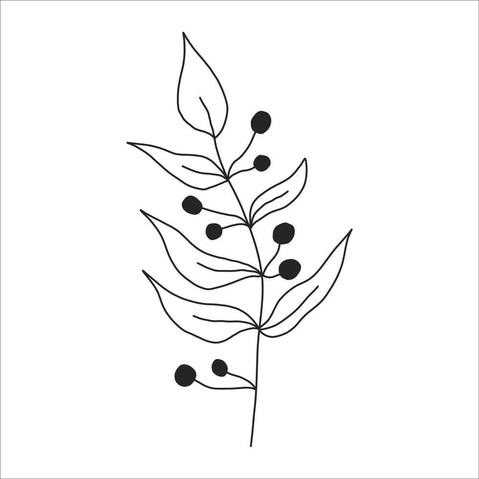 schwarz Silhouette von ein Pflanze Ast. Blume Ast im Gliederung Stil Hand gezeichnet auf isoliert Weiß Hintergrund. Vektor Lager Illustration. tropisch Blätter. minimal Linie Kunst zum drucken, Startseite oder Tätowierung.