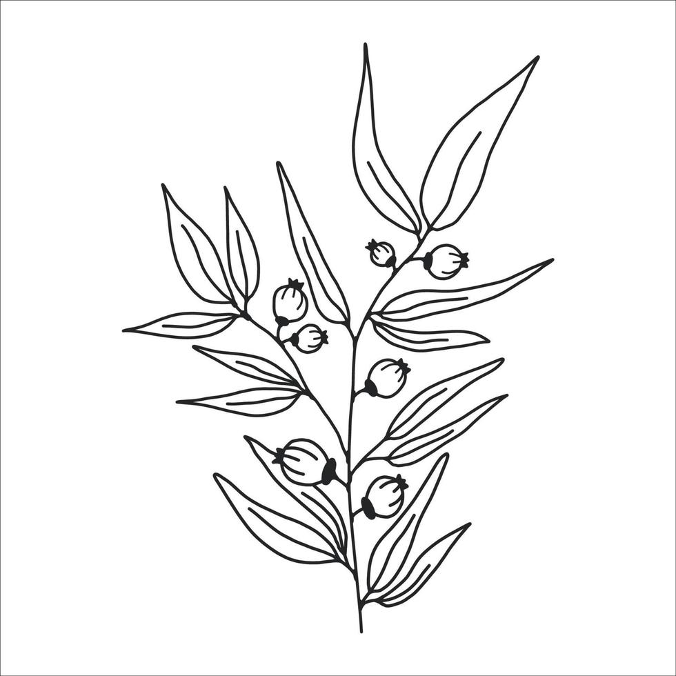 schwarz Silhouette von ein Pflanze Ast. Blume Ast im Gliederung Stil Hand gezeichnet auf isoliert Weiß Hintergrund. Vektor Lager Illustration. tropisch Blätter. minimal Linie Kunst zum drucken, Startseite oder Tätowierung.