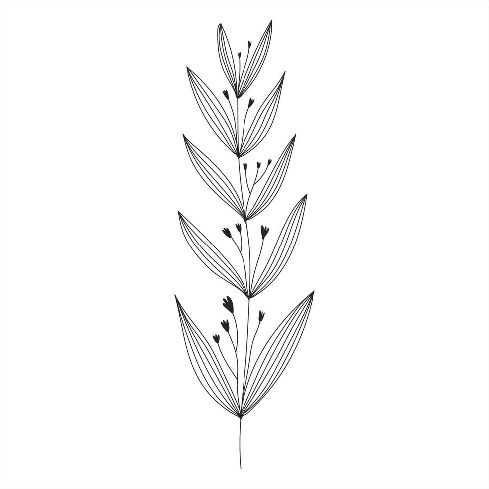 svart silhuett av en växt gren. blomma gren i översikt stil hand dragen på isolerat vit bakgrund. vektor stock illustration. tropisk löv. minimal linje konst för skriva ut, omslag eller tatuering.