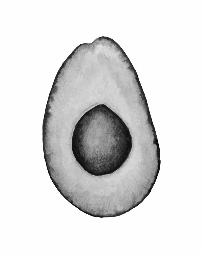 avokado vattenfärg hand dragen frukt. svartvit skiss av avokado. vektor