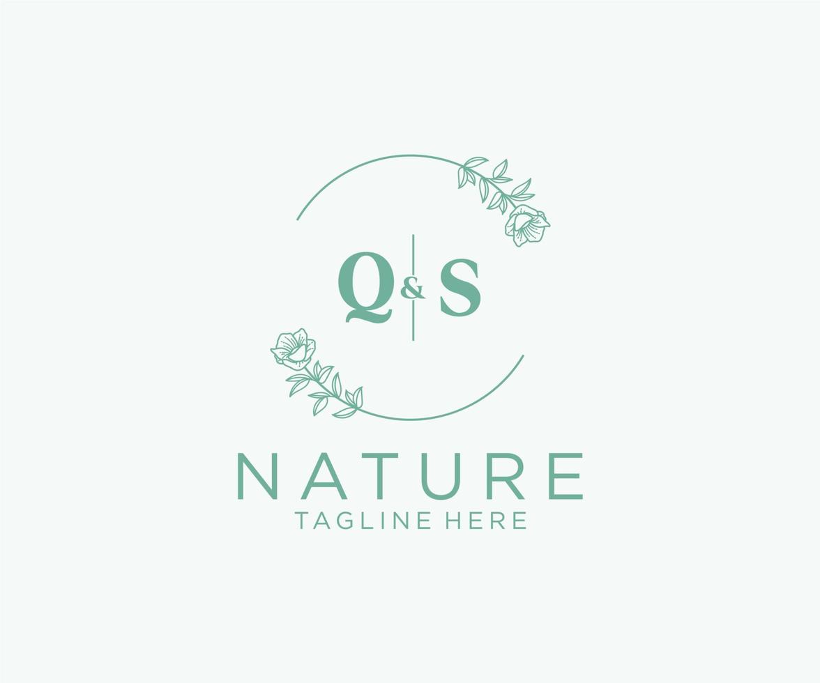 Initiale qs Briefe botanisch feminin Logo Vorlage Blumen, editierbar vorgefertigt Monoline Logo geeignet, Luxus feminin Hochzeit Marke, Unternehmen. vektor