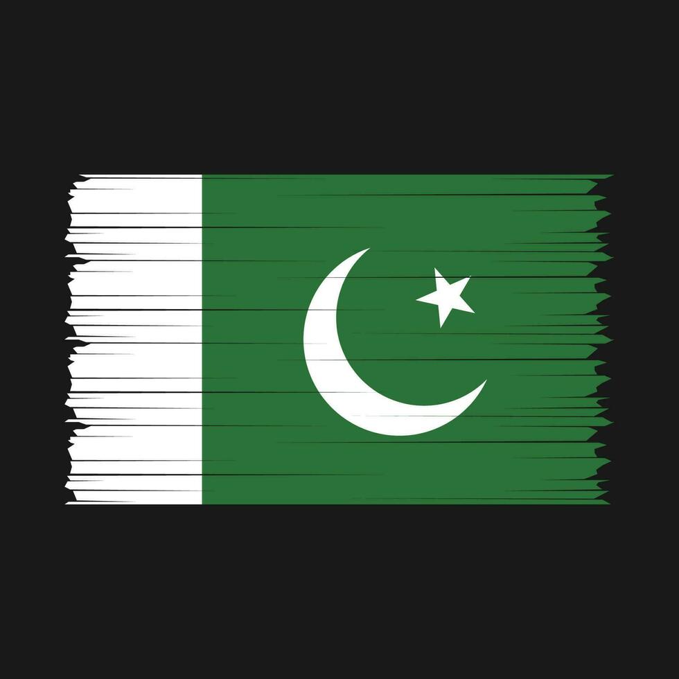 Pinselvektor der pakistanischen Flagge vektor