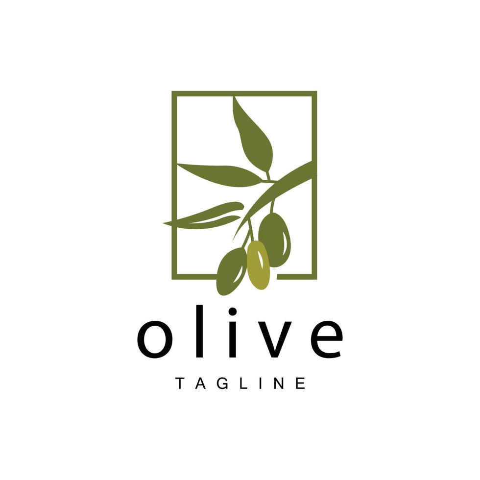 Olive Logo, Olive Öl Pflanze Vektor, natürlich Kräuter- Gesundheit Medizin Design, Illustration Vorlage Symbol vektor