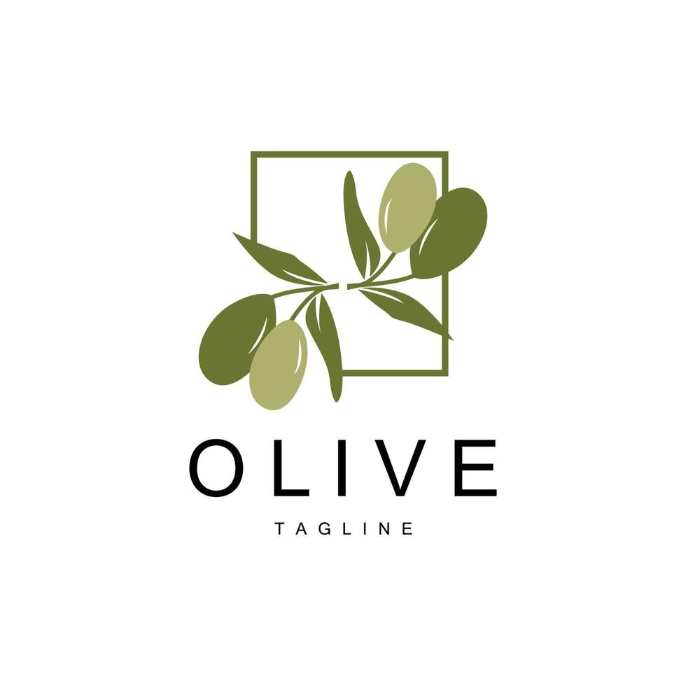 Olive Logo, Olive Öl Pflanze Vektor, natürlich Kräuter- Gesundheit Medizin Design, Illustration Vorlage Symbol vektor