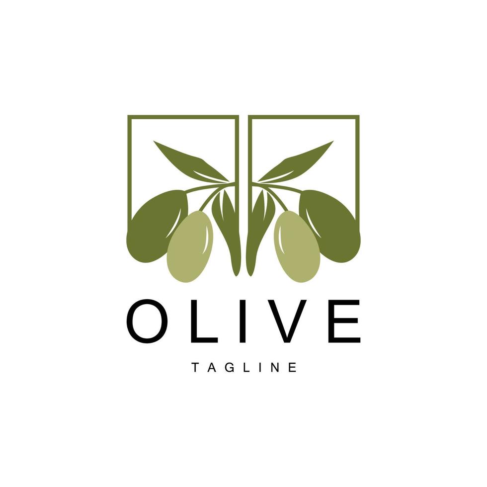 Olive Logo, Olive Öl Pflanze Vektor, natürlich Kräuter- Gesundheit Medizin Design, Illustration Vorlage Symbol vektor