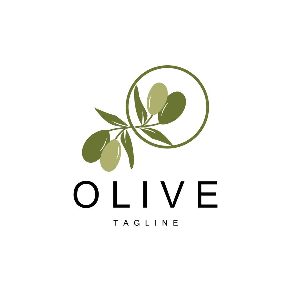 oliv logotyp, oliv olja växt vektor, naturlig ört- hälsa medicin design, illustration mall ikon vektor