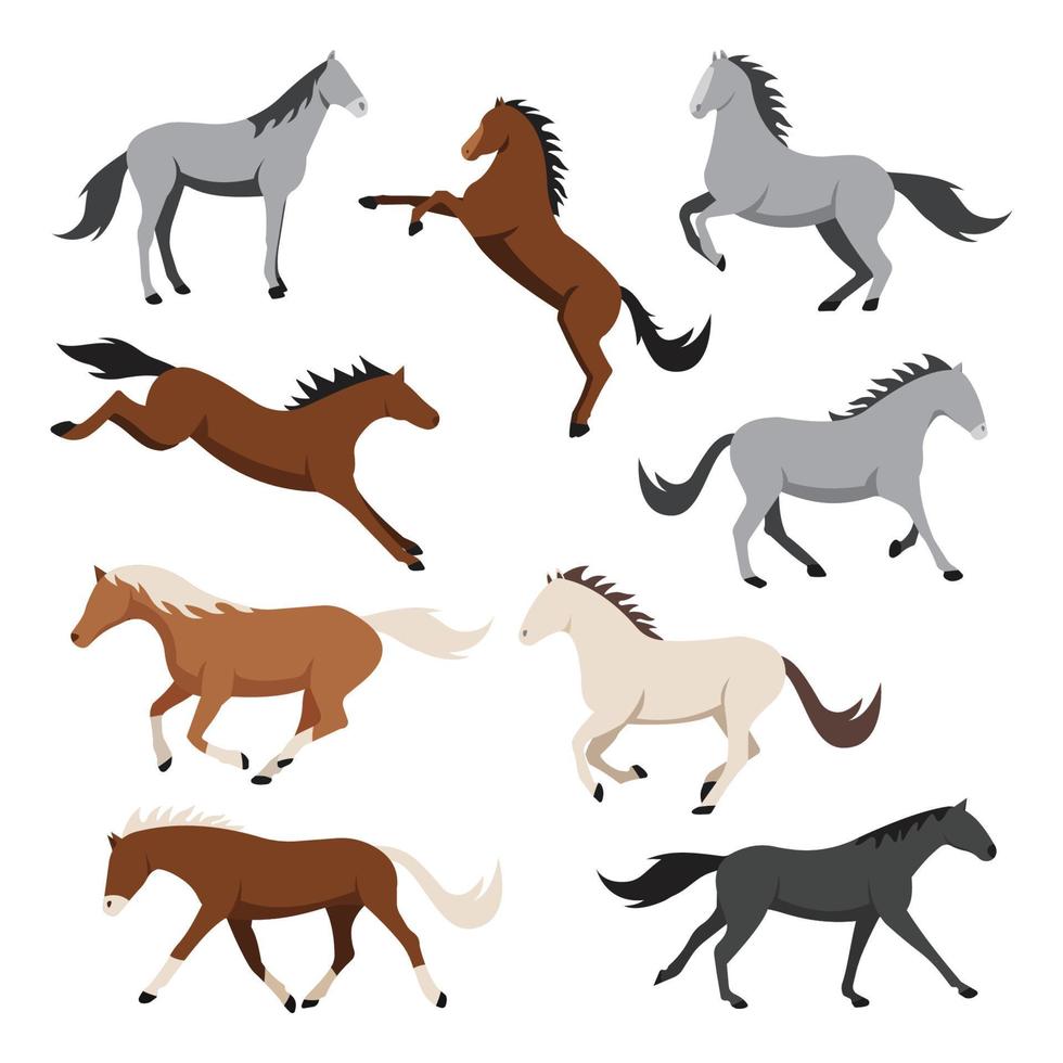 samling av hästar och ponny stående och rör på sig vektor platt illustration