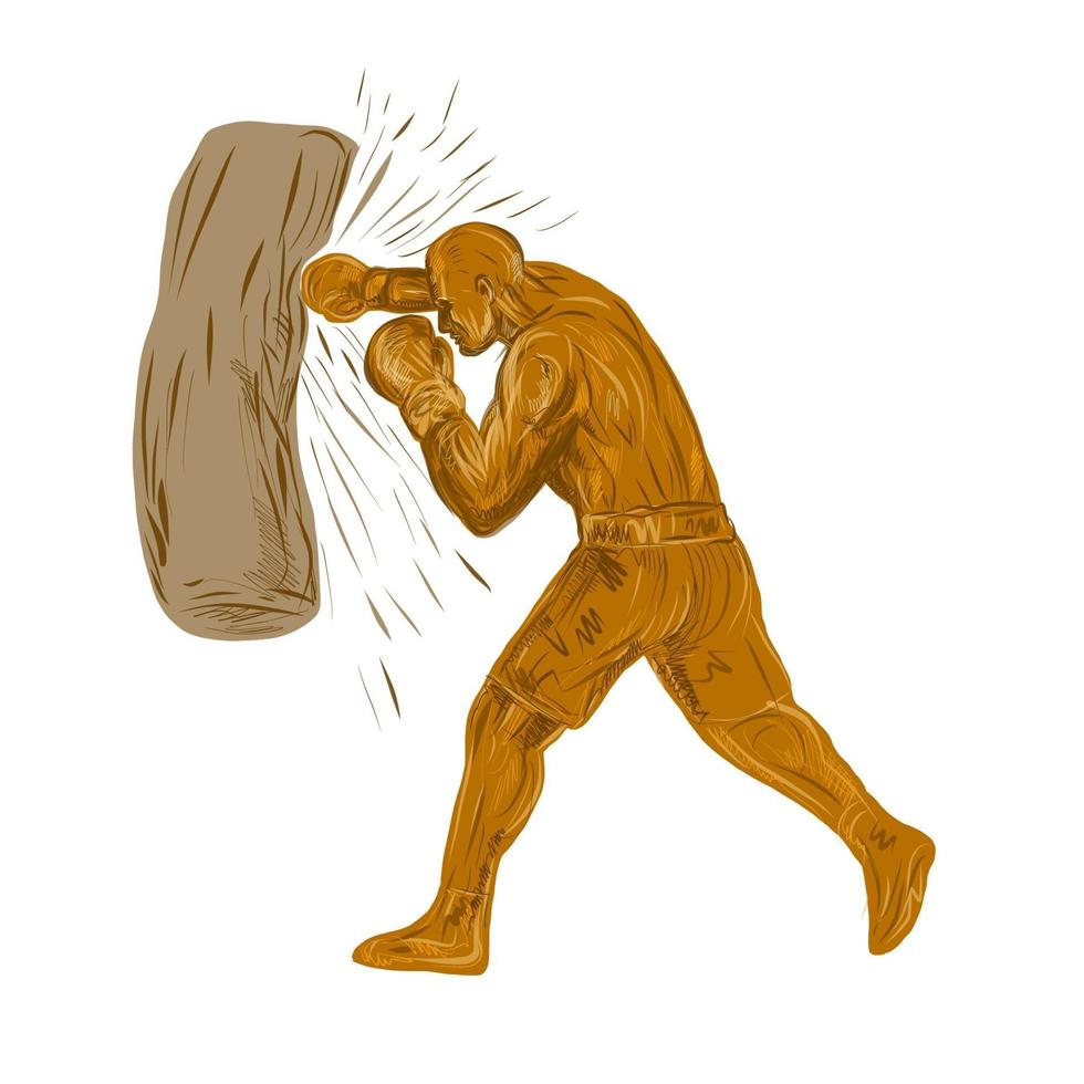 boxare boxningssäck vektor
