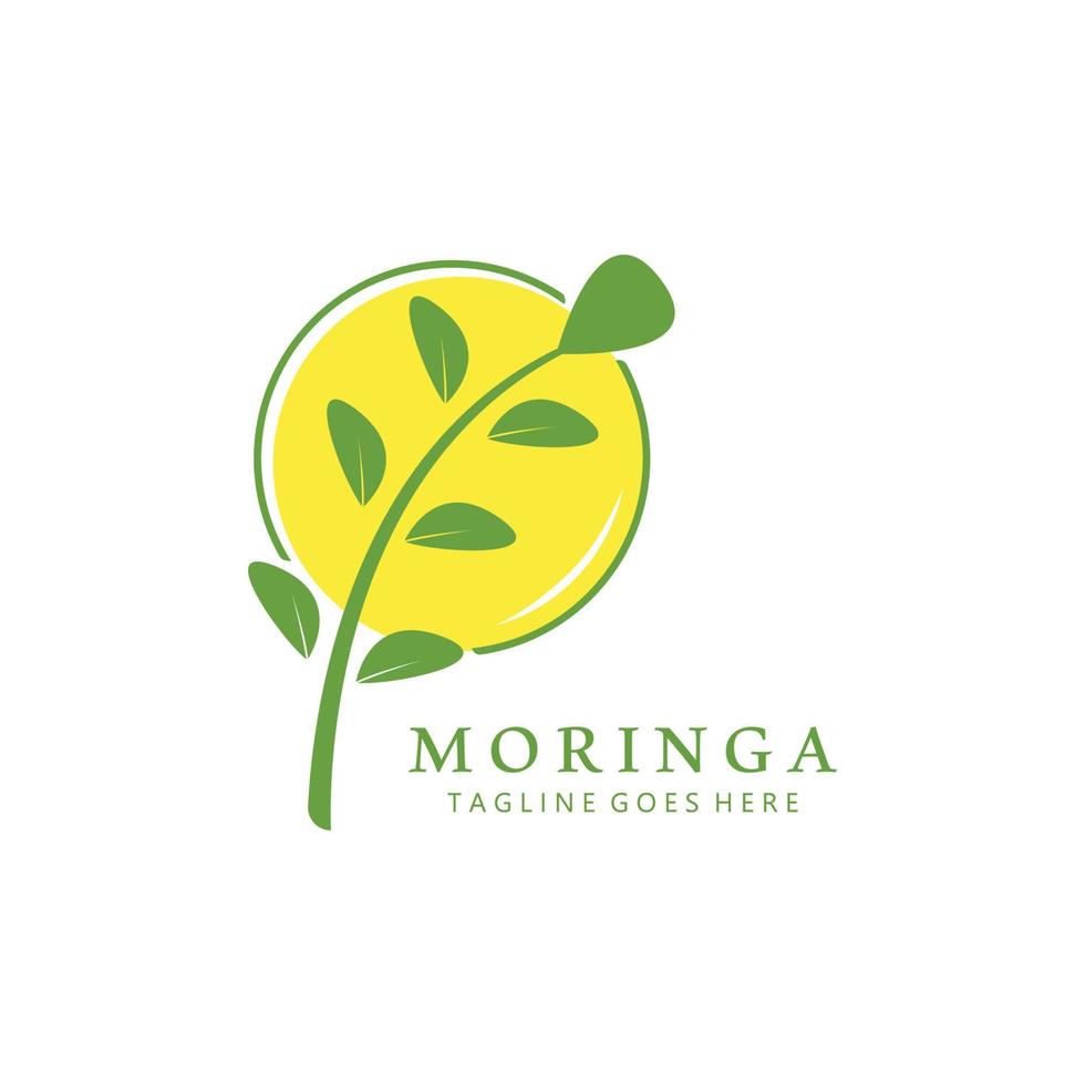 Grün natürlich Moringa Blatt Logo Vorlage isoliert auf Weiß Hintergrund. vektor