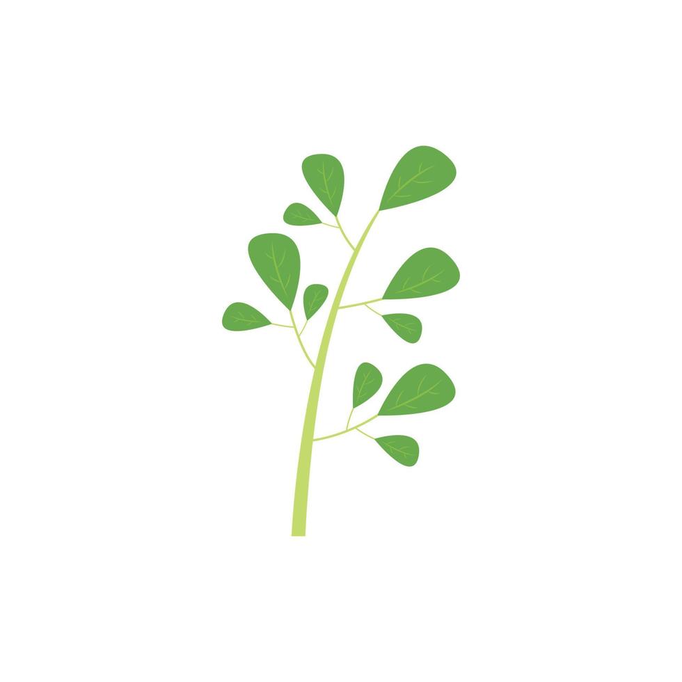 grön naturlig moringa blad logotyp mall isolerat på vit bakgrund. vektor