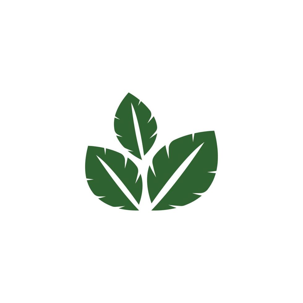 naturlig grön blad logotyp. med ett illustration logotyp design i en modern stil. en logotyp för hälsa och vård. vektor