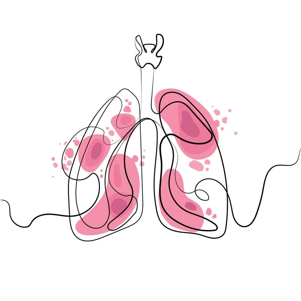 Mensch Lunge Organ kontinuierlich Linie Zeichnung im modisch minimal Stil Vektor illustration.anatomical Mensch Lunge, intern Organ Silhouette Linie Kunst skizzieren mit abstrakt Flecken.Gesundheit und Medizin Konzept