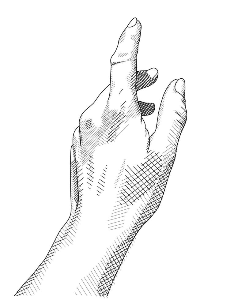 Kunst von Skulptur Objekte zum das Ausstellung von klassisch und zeitgenössisch malen, Musik. Hand Illustration, Palme Gips Skulptur, Handgelenk. Zeichnungen zum Poster. linear Vektor Zeichnung