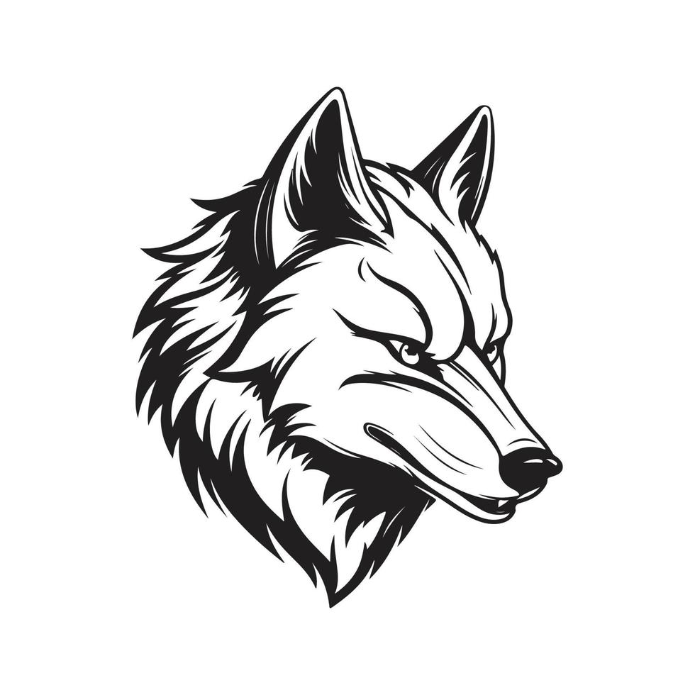 Wolf, Vektor Konzept Digital Kunst ,Hand gezeichnet Illustration
