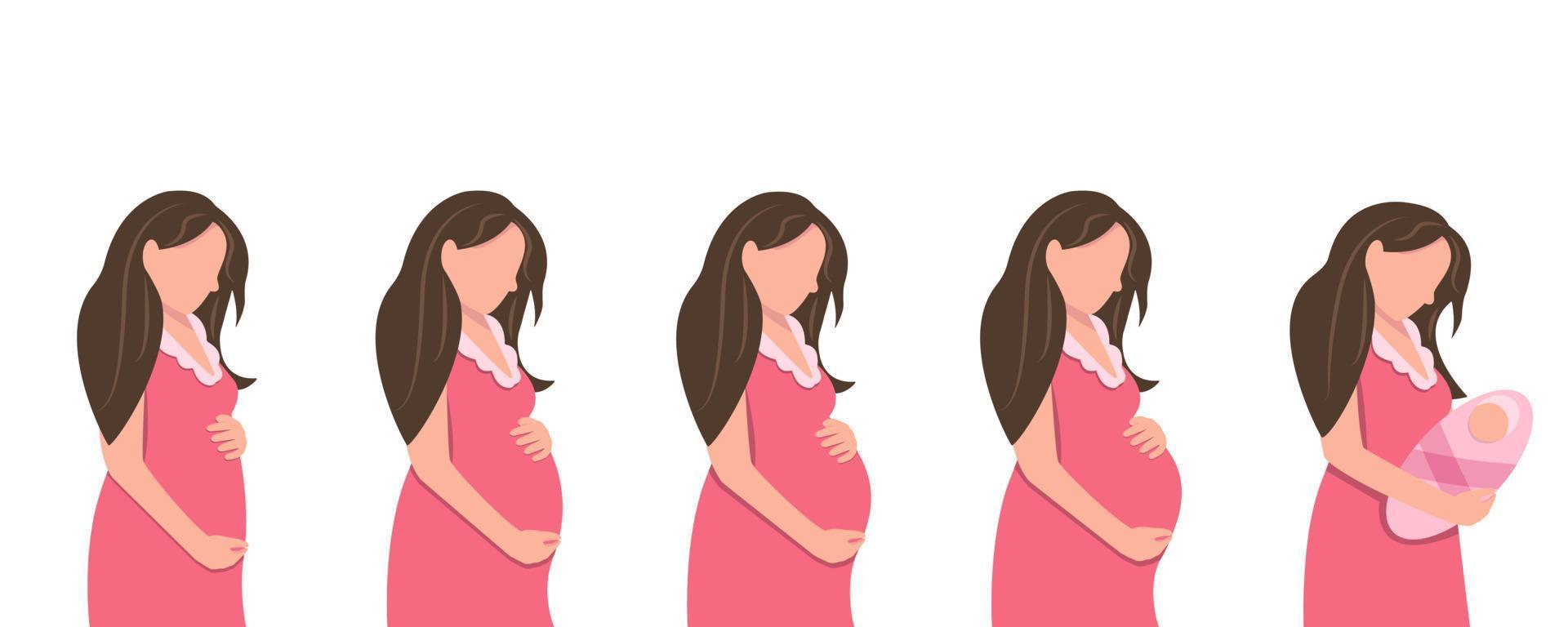 Main Stufen von Schwangerschaft. fötal Wachstum durch Monate. Schwangerschaft Kalender. glücklich Schwangerschaft und warten Verfahren. Schwangerschaft und Mutterschaft. Vektor Illustration im ein eben Stil. Gesundheit Pflege.