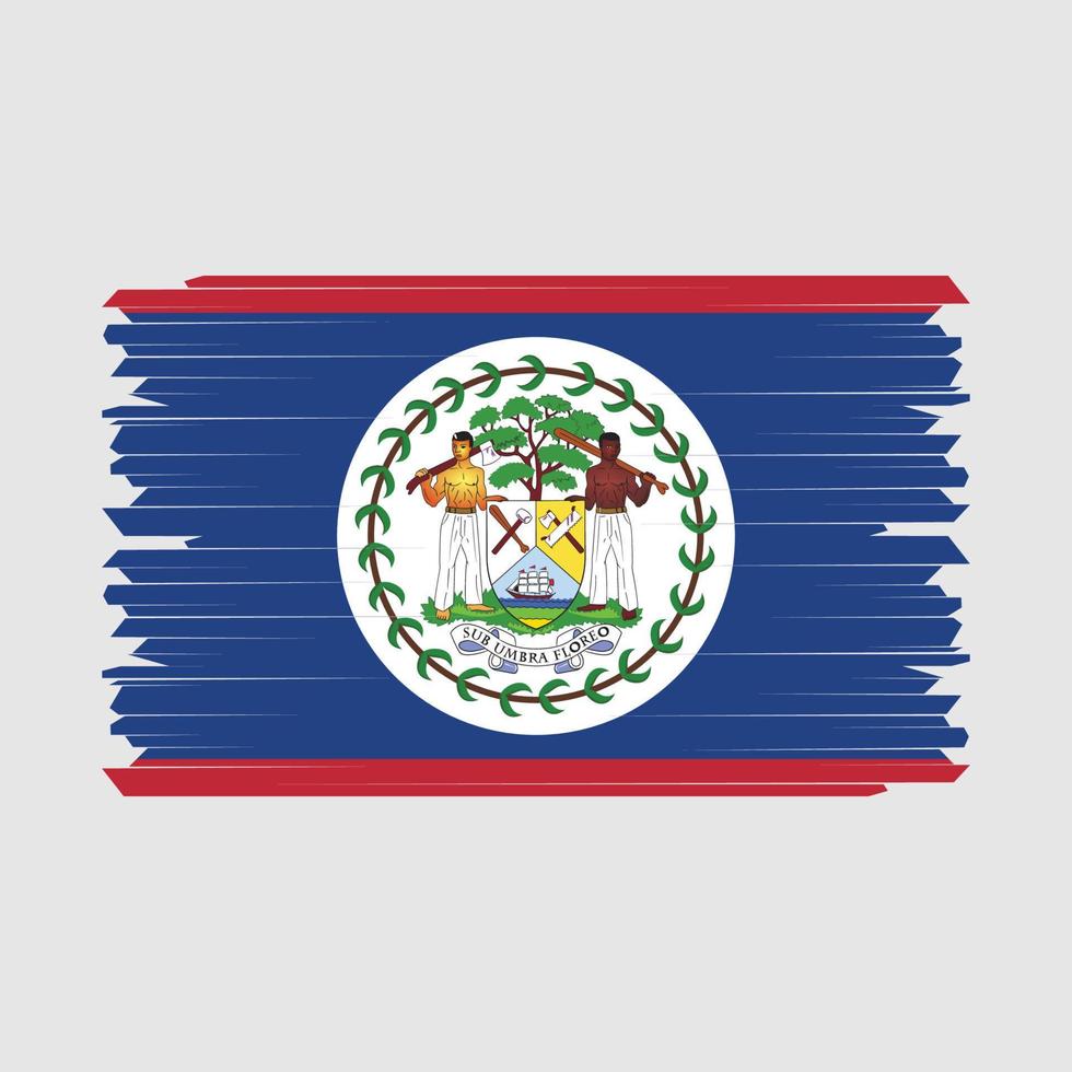 belize flagga borsta vektor