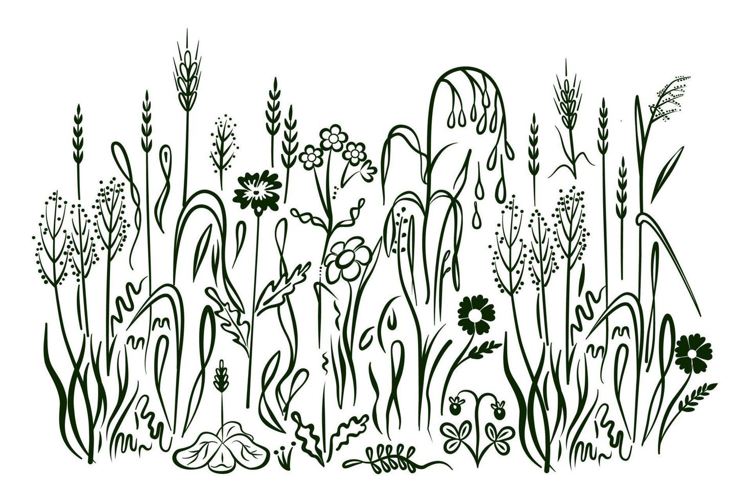 abstrakt Hintergrund mit schwarz Silhouetten von Wiese wild Kräuter und Blumen. gezeichnet im Gekritzel Stil. isoliert auf Weiß Hintergrund. Vektor Illustration.