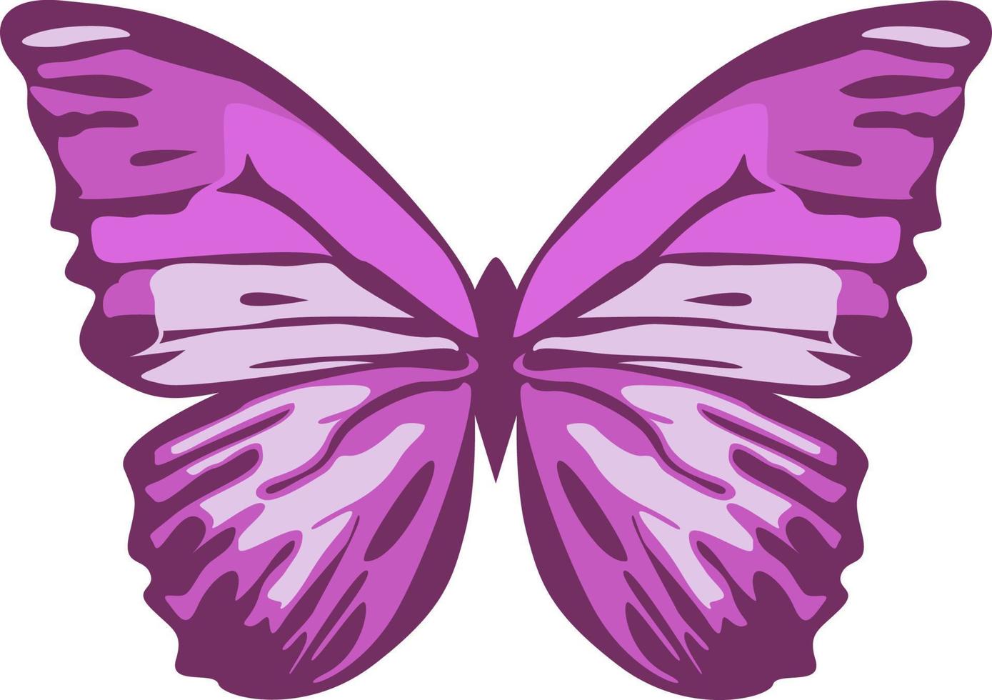 Farbe Schmetterling , isoliert auf Weiß. vektor