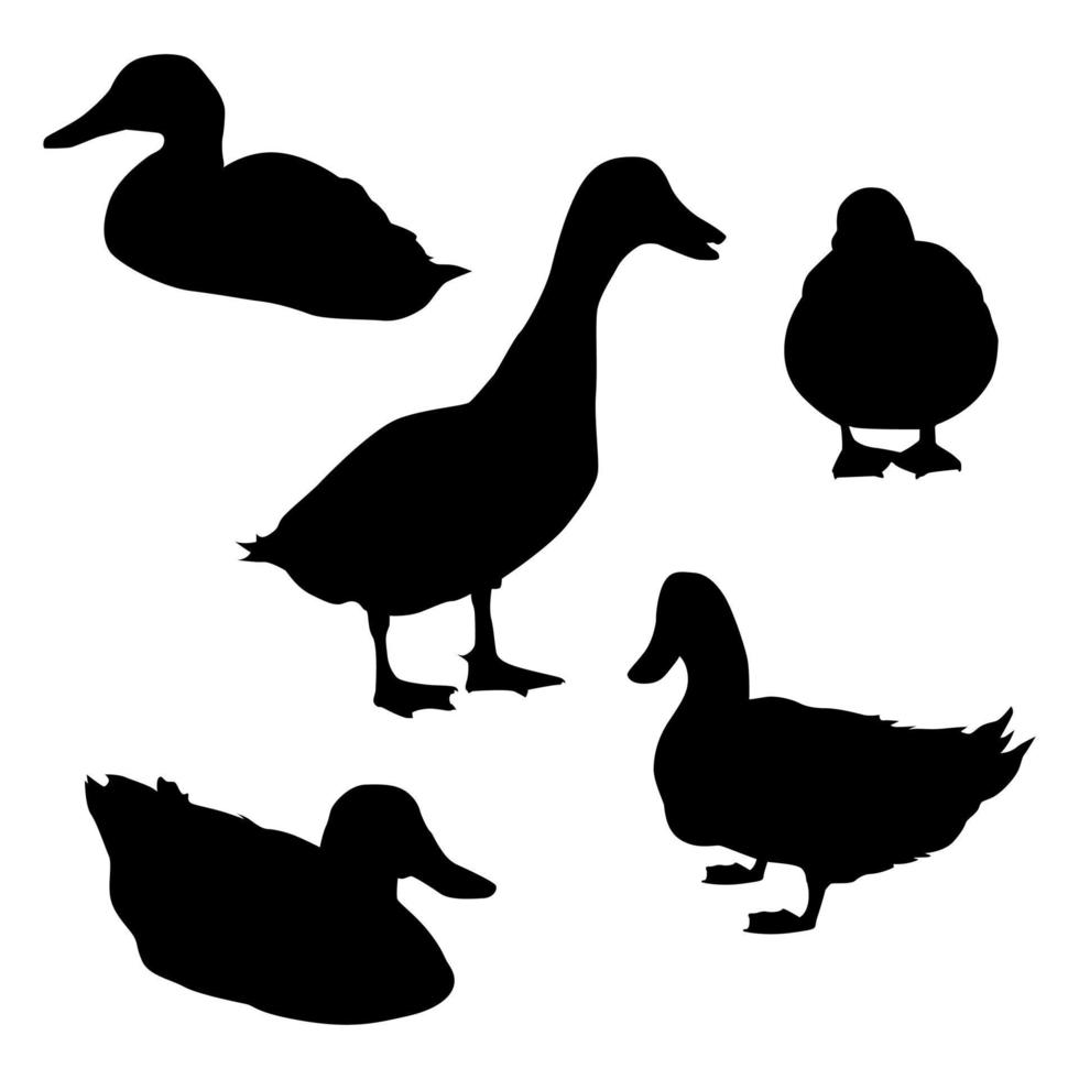 Ente Silhouette Illustration Sammlung vektor