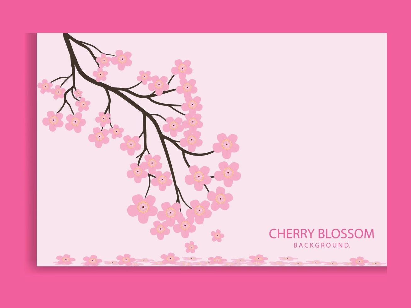 japansk körsbär blomma träd på rosa bakgrund vektor illustration.