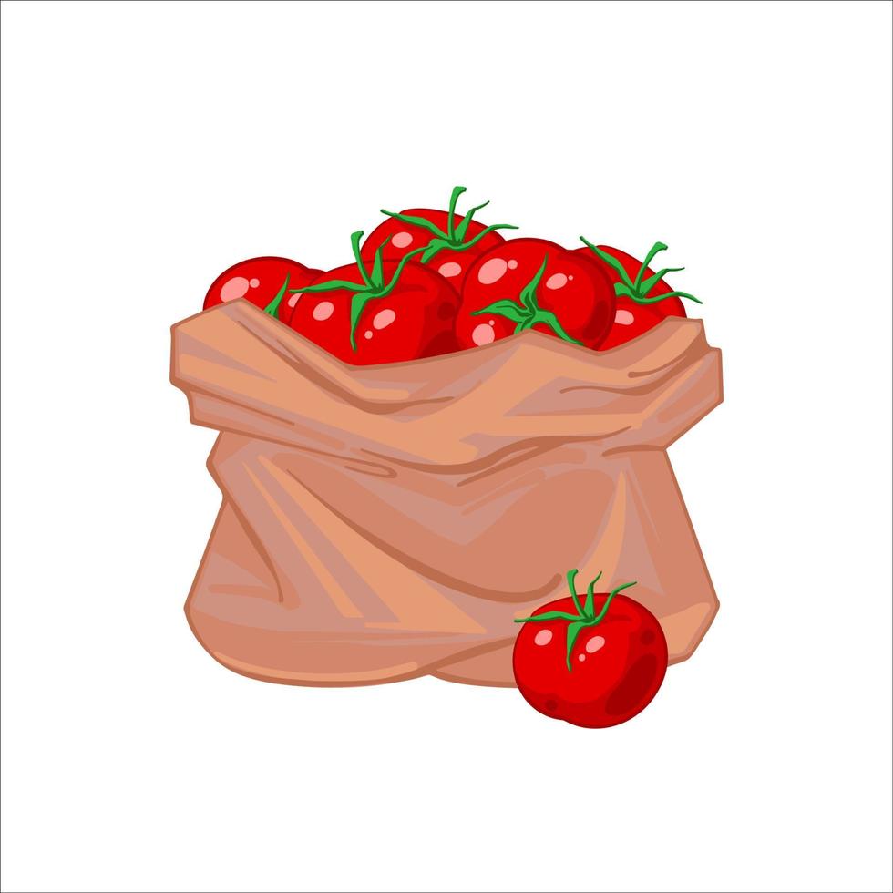en papper väska full av mogen saftig röd tomater. tomat väska, organisk grönsaker. hand dragen vektor illustration isolerat på vit bakgrund. ikoner påsar med grönsaker.