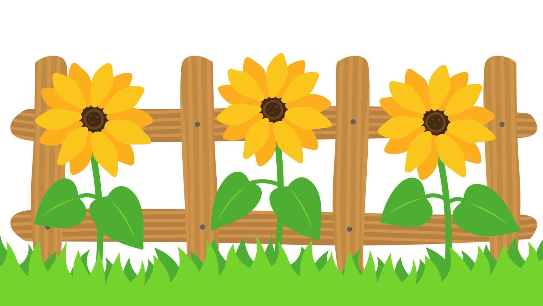 Sonnenblumen auf das Zaun Hintergrund. Land Konzept. Vektor Illustration im eben Stil