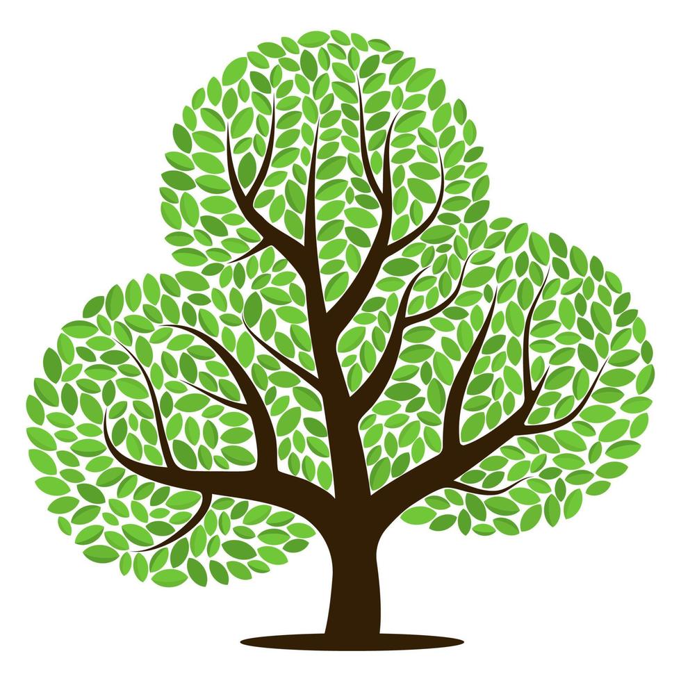 Vektor Baum mit Grün Blätter isoliert auf ein Weiß Hintergrund