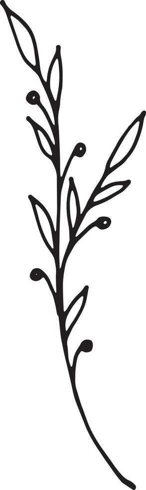 linear Wildblume Blume. Hand gezeichnet Illustration. vektor