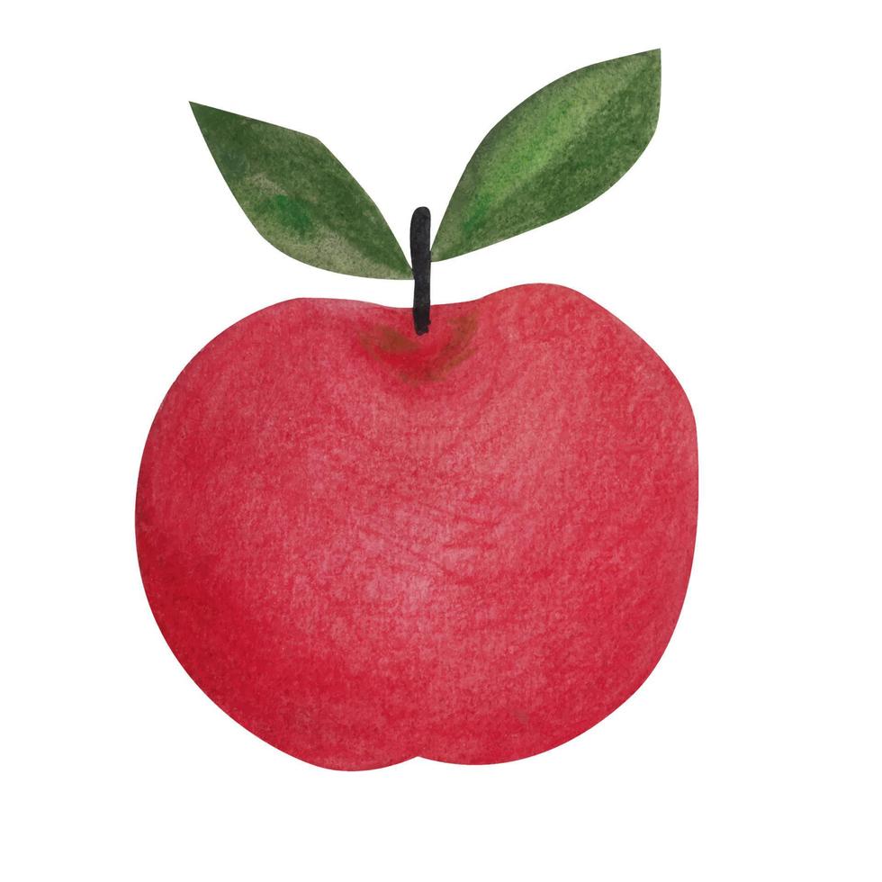 röd äpple på en vit bakgrund. vattenfärg illustration vektor