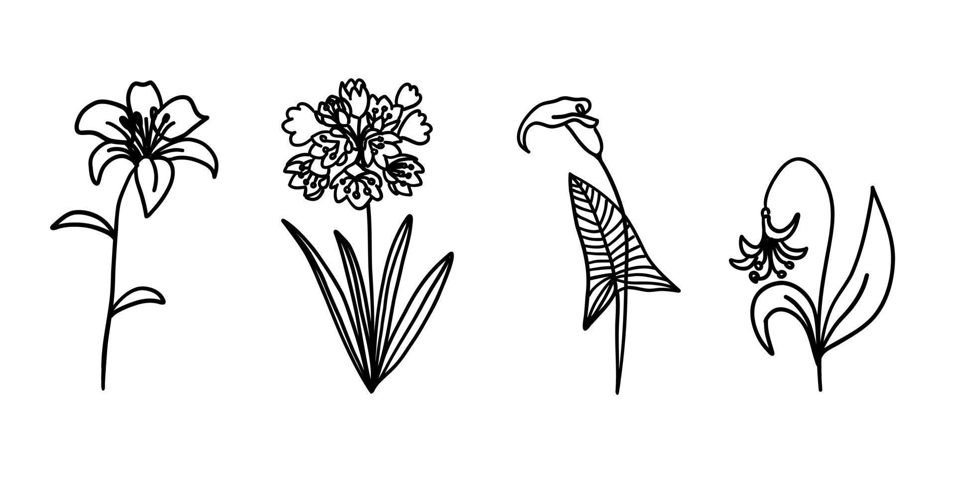 blommor samling i översikt klotter platt stil. uppsättning av enkel blommig element växt löv dekorativ design. hand dragen linje konst. för färg. vektor illustration isolerat på vit bakgrund.