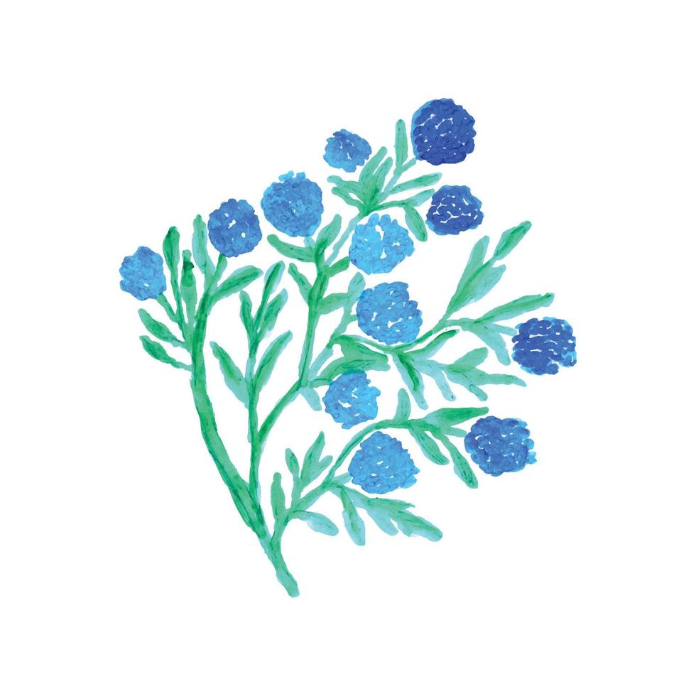 ein Aquarell Zeichnung von Blau Blumen auf ein Weiß Hintergrund. Aquarell kreativ Vektor Blume