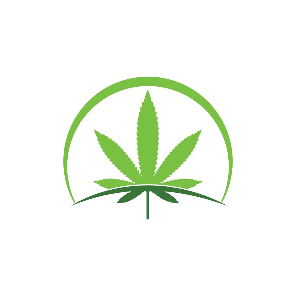 Cannabis Blatt Vektor Symbol Illustration Design