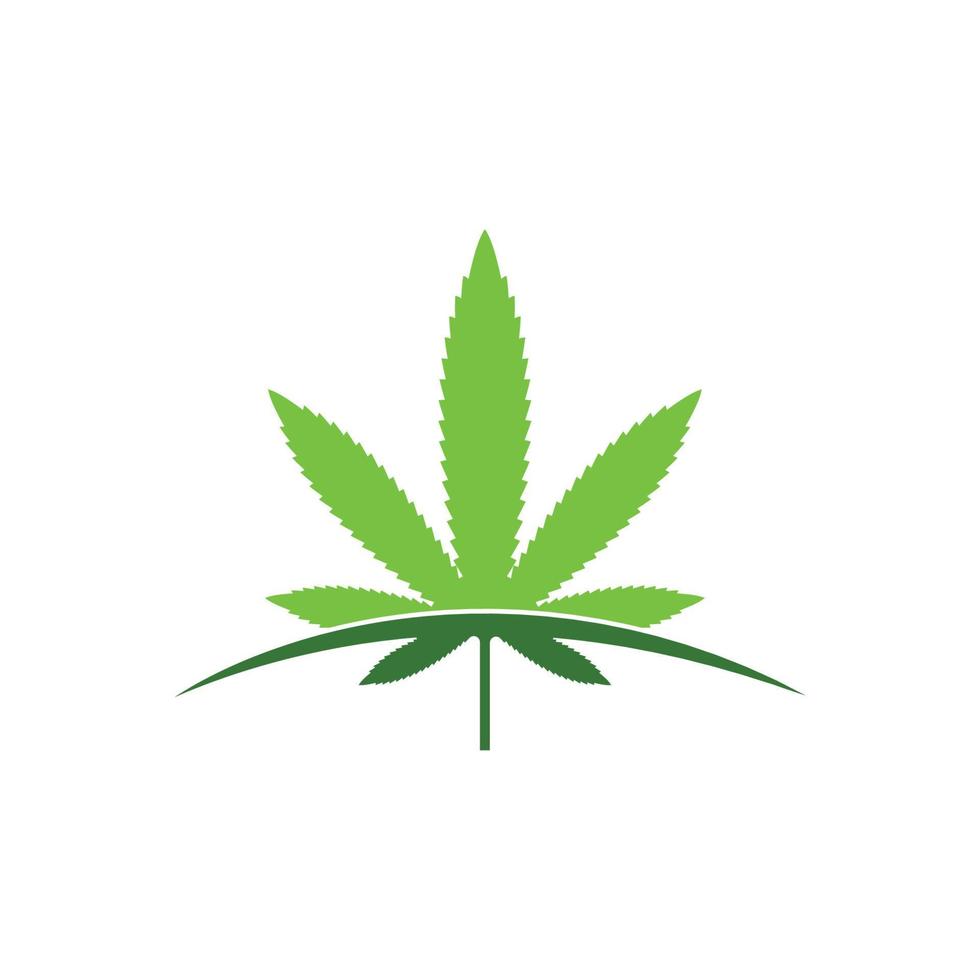 Cannabis Blatt Vektor Symbol Illustration Design