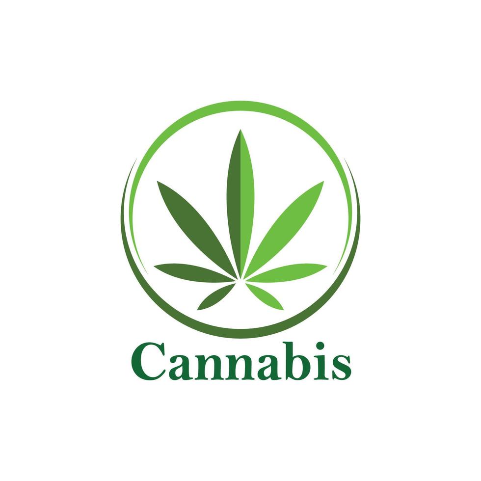 Cannabis Blatt Vektor Symbol Illustration Design