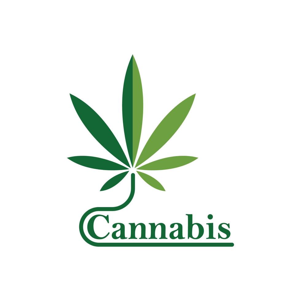 Cannabis Blatt Vektor Symbol Illustration Design