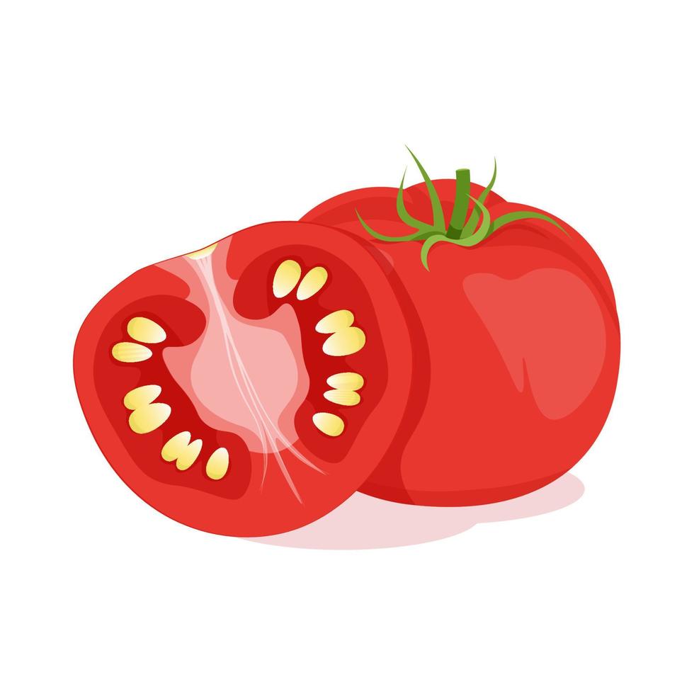 ett hela röd tomat och ett skära i halv vektor