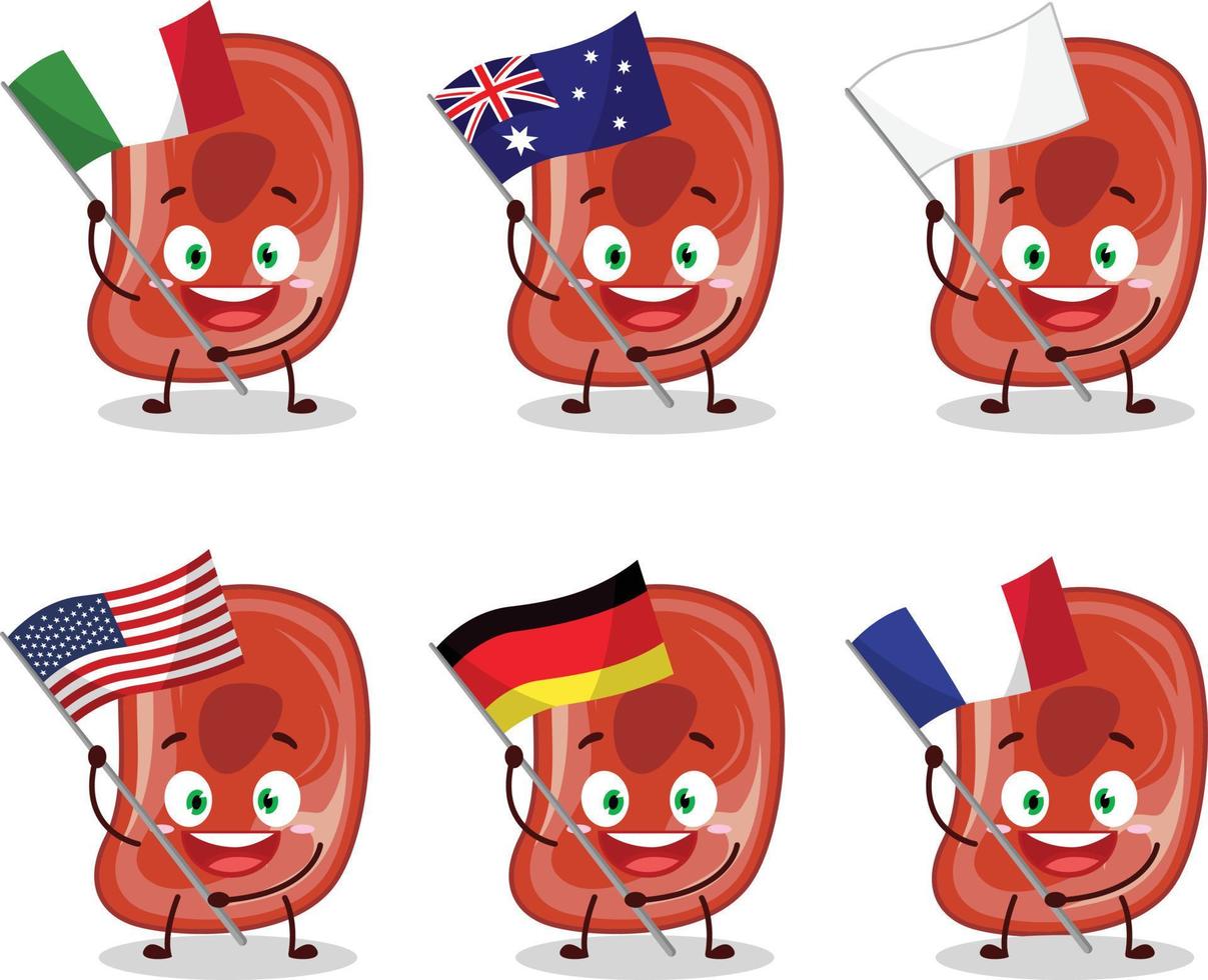 skinka tecknad serie karaktär föra de flaggor av olika länder vektor