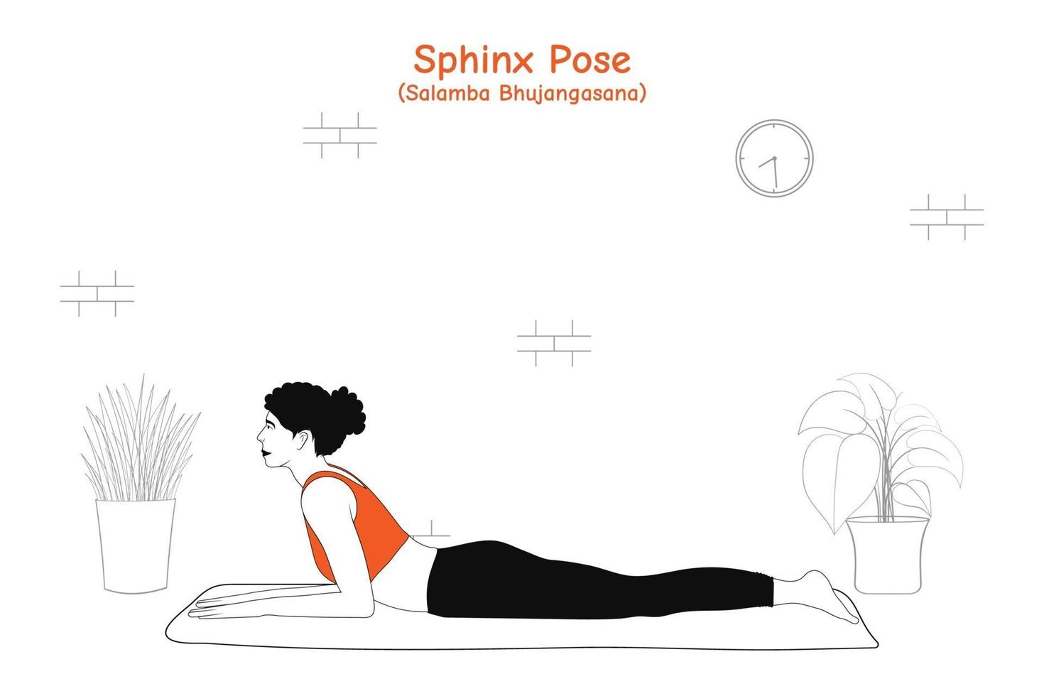 kvinna gör yoga asana sfinx pose eller salamba bhujangasana vektor