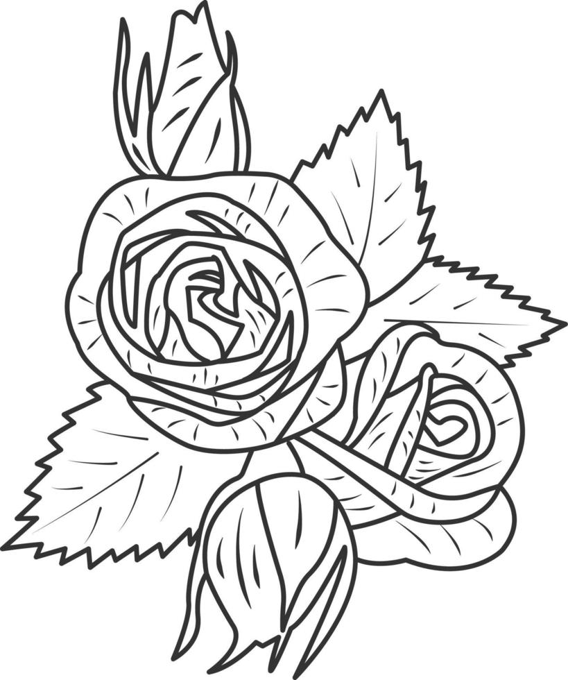 Vektorrosenblume lokalisiert auf weißem Hintergrund. Element für die Gestaltung. handgezeichnete Konturlinien und Striche vektor