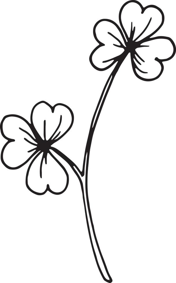 linear Wildblume Blume. Hand gezeichnet Illustration. vektor