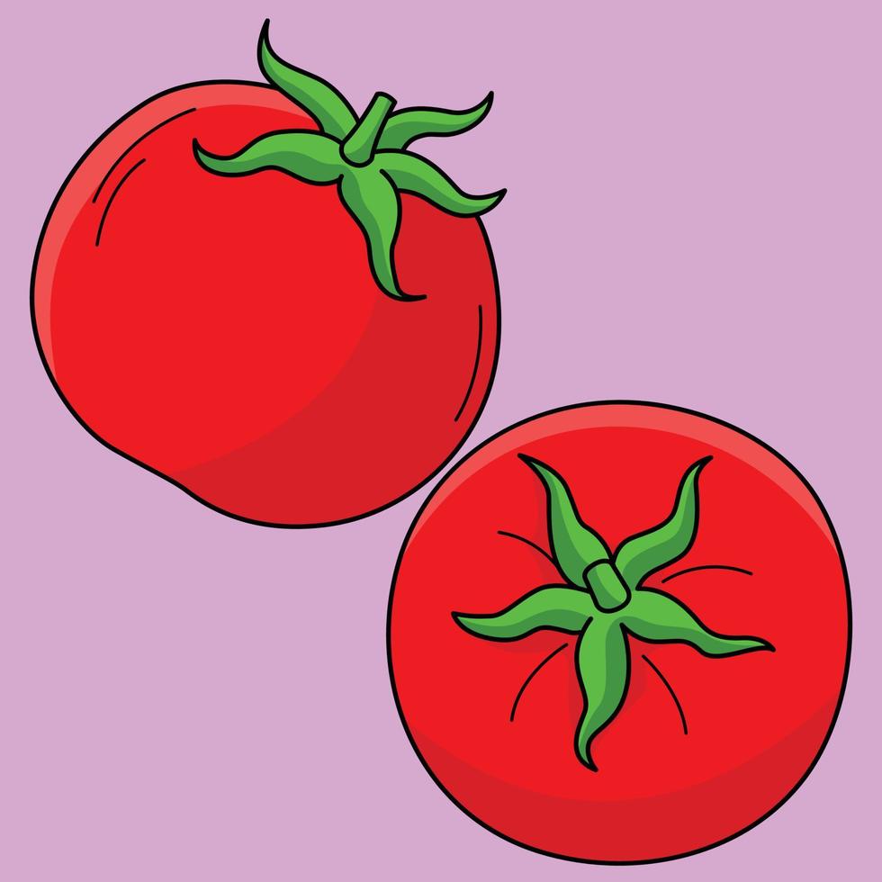 Tomate Obst farbig Karikatur Illustration vektor