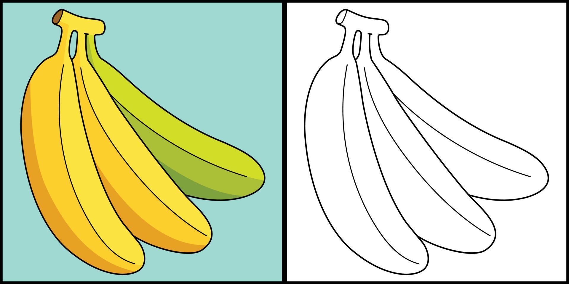 banan frukt färg sida färgad illustration vektor