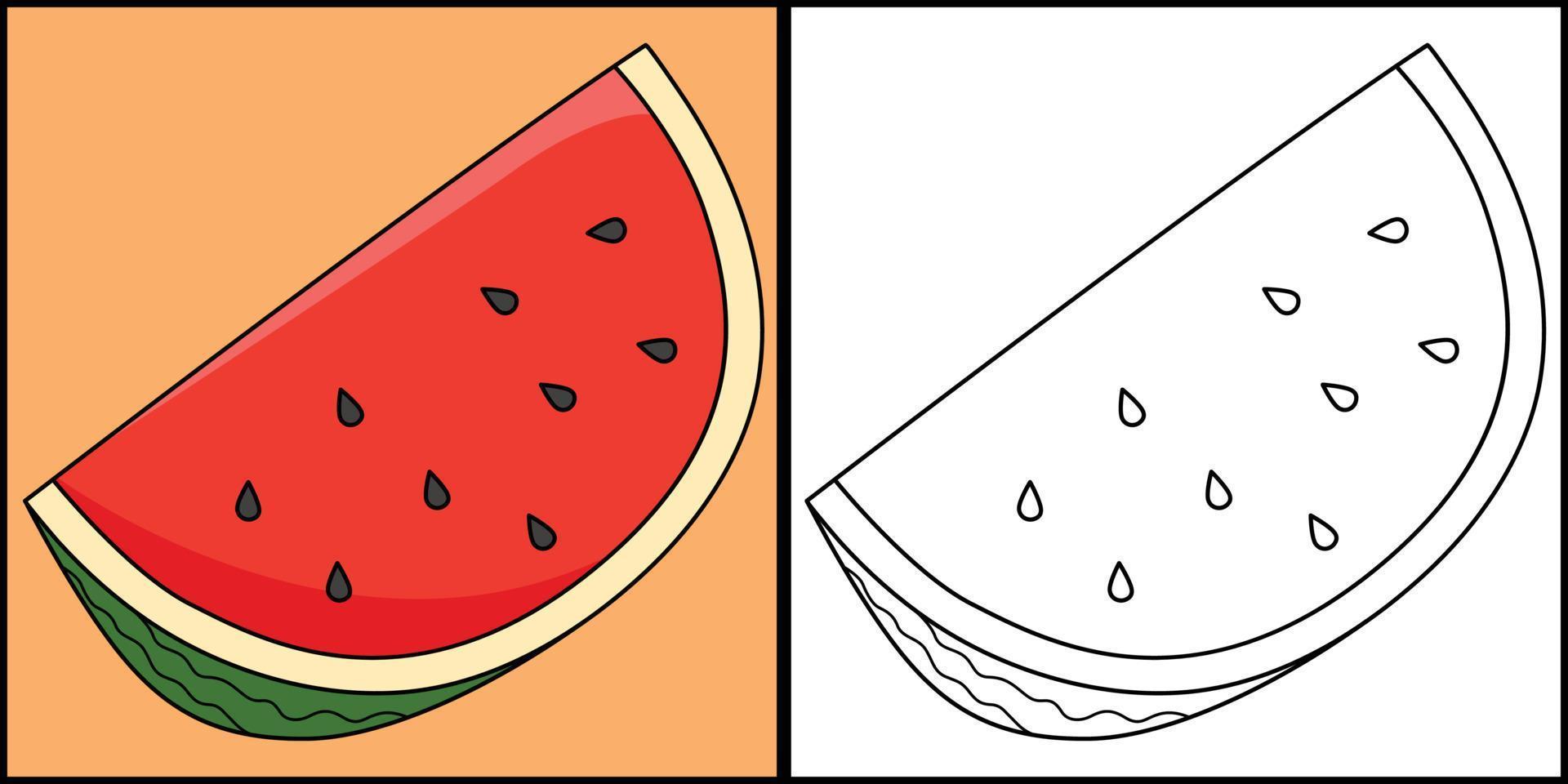 geschnitten Wassermelone Obst Färbung Seite Illustration vektor