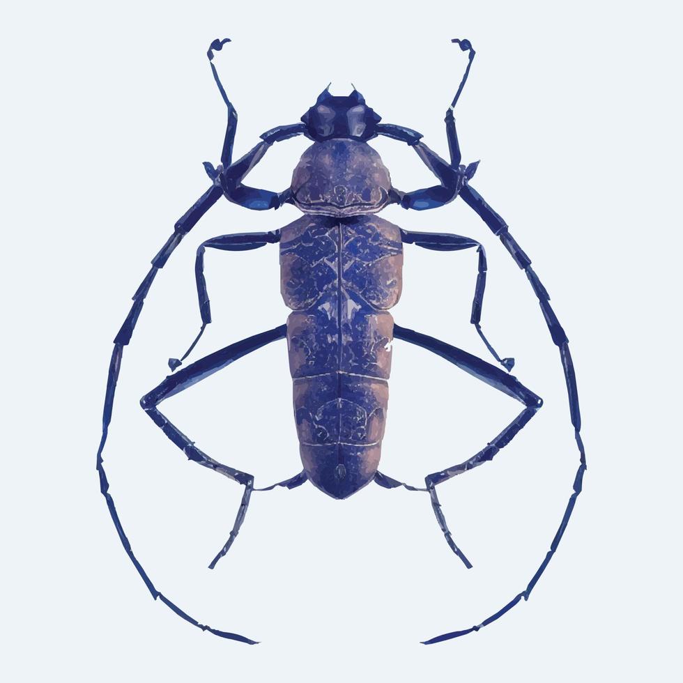 Barbe Käfer im violett Farben. realistisch Illustration isoliert auf Weiß Hintergrund. vektor
