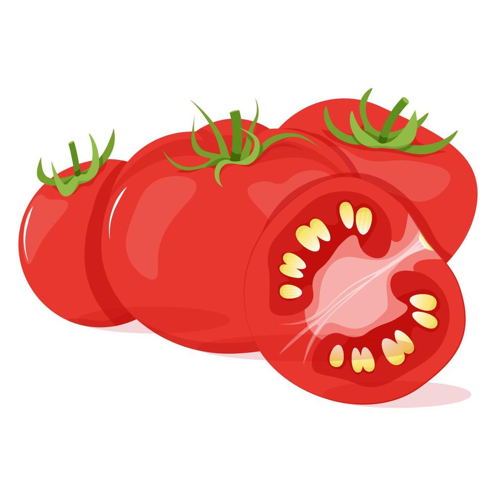 Komposition von rot Tomaten Schnitt und ganze vektor